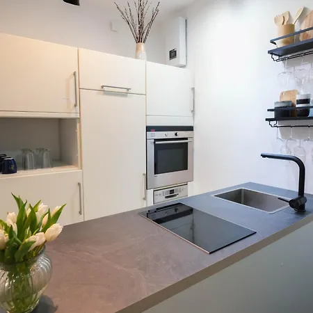 Tanic Deluxe Garden Industrial Fair Apartment Dusseldorf