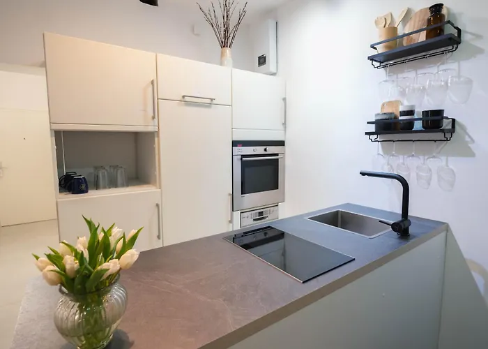 Tanic Deluxe Garden Industrial Fair Apartman Düsseldorf